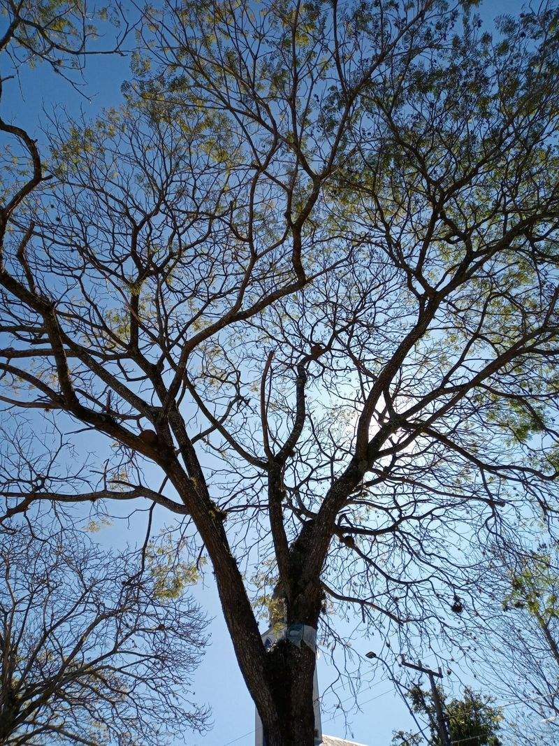 Reparatur und Wartung